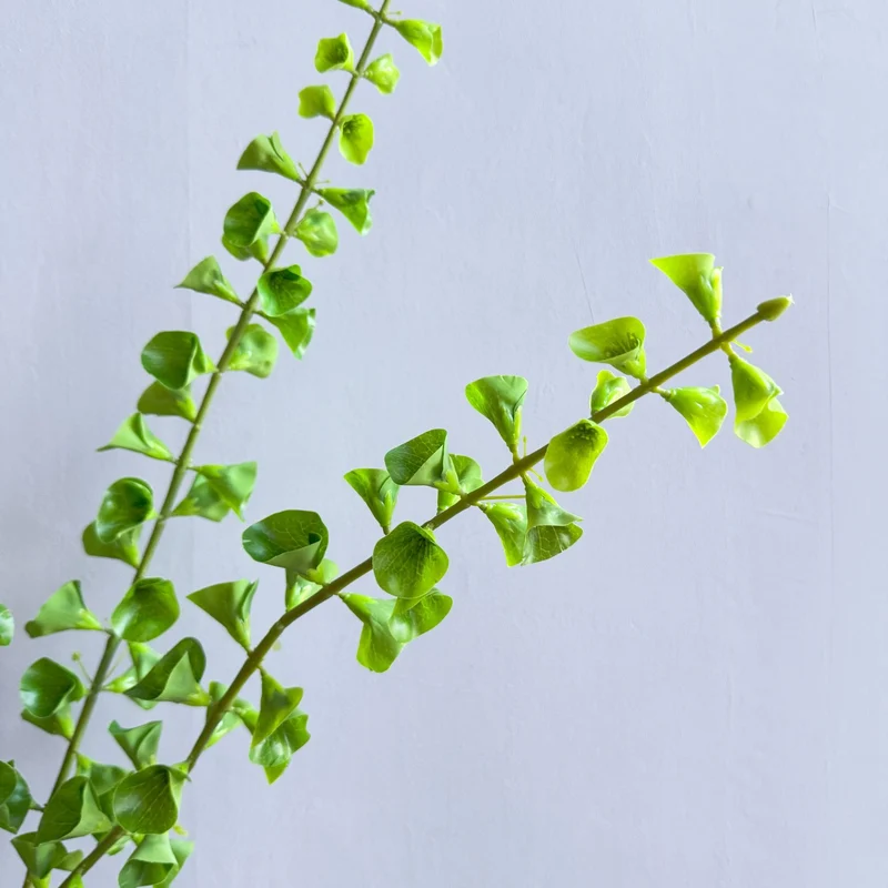 Stylish Indoor Plant Decor
