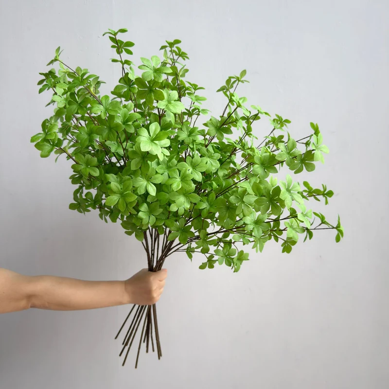 Elegant Decorative Plant