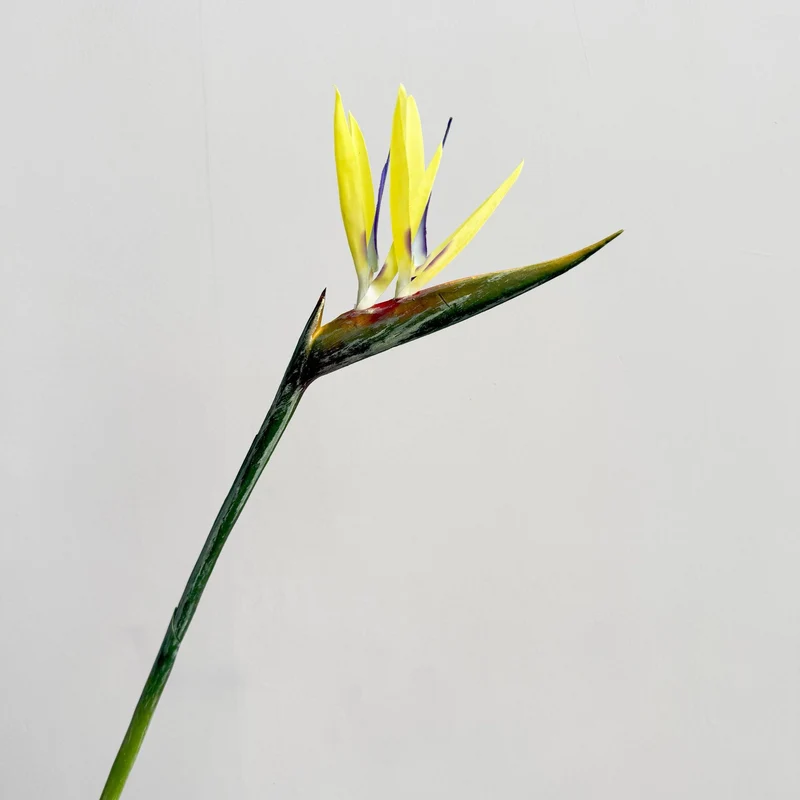 Decorative Flower Display