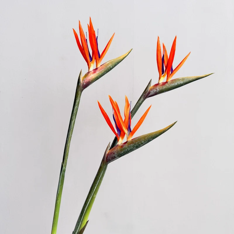 Decorative Flower Display