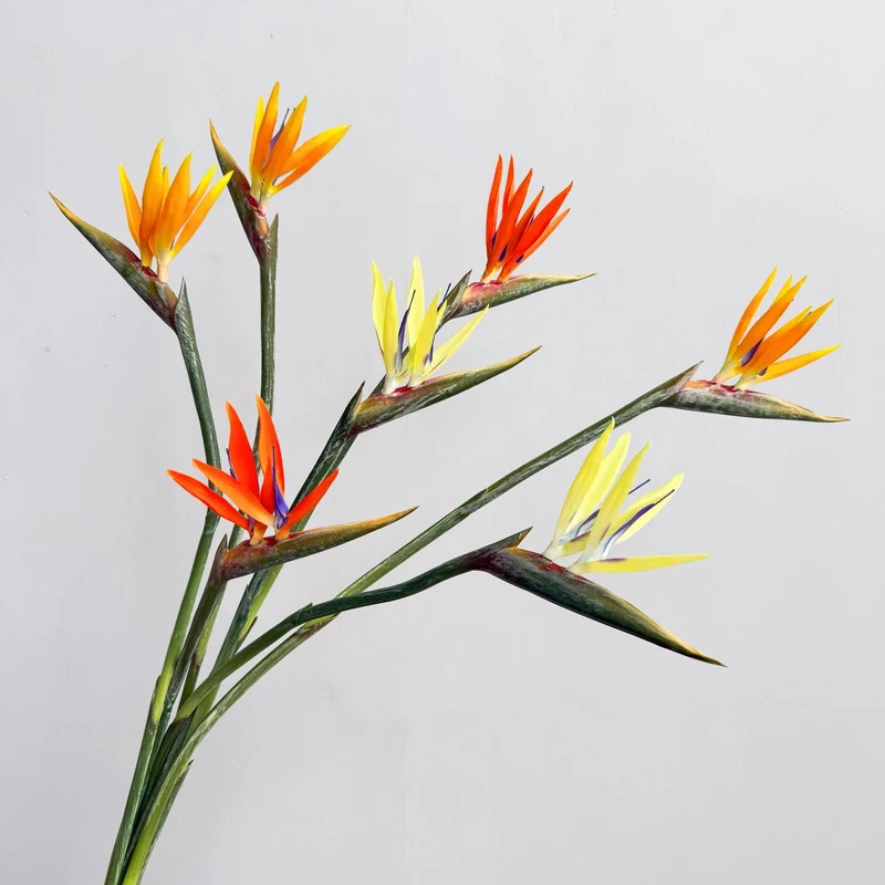 Decorative Flower Display
