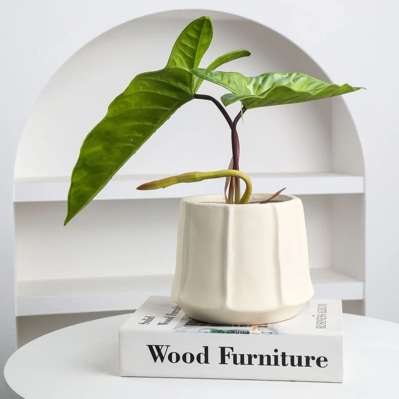 Modern Decorative Planter for Home Interior Styling