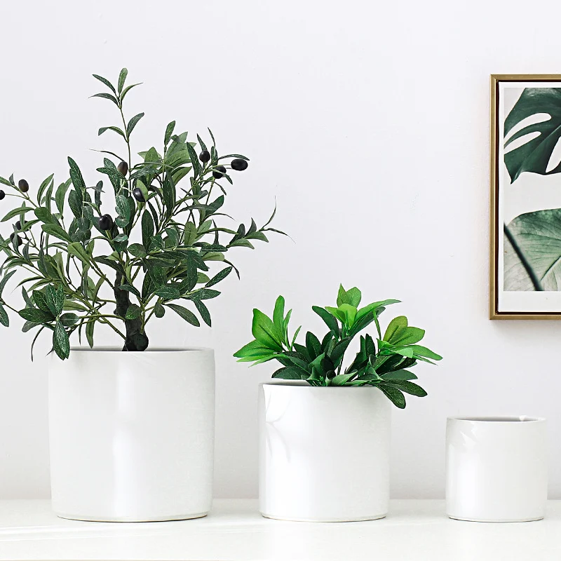 Elegant Ceramic Plant Pot for Interior Decoration