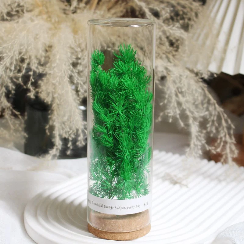 Preserved Flower Display in Elegant Glass Cylinder