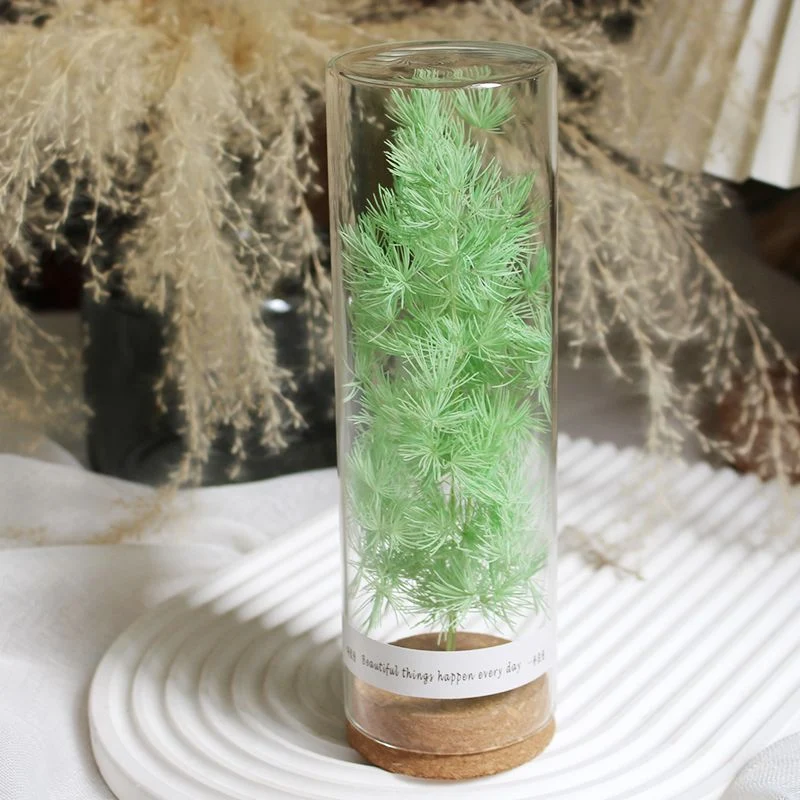 Preserved Flower Display in Elegant Glass Cylinder