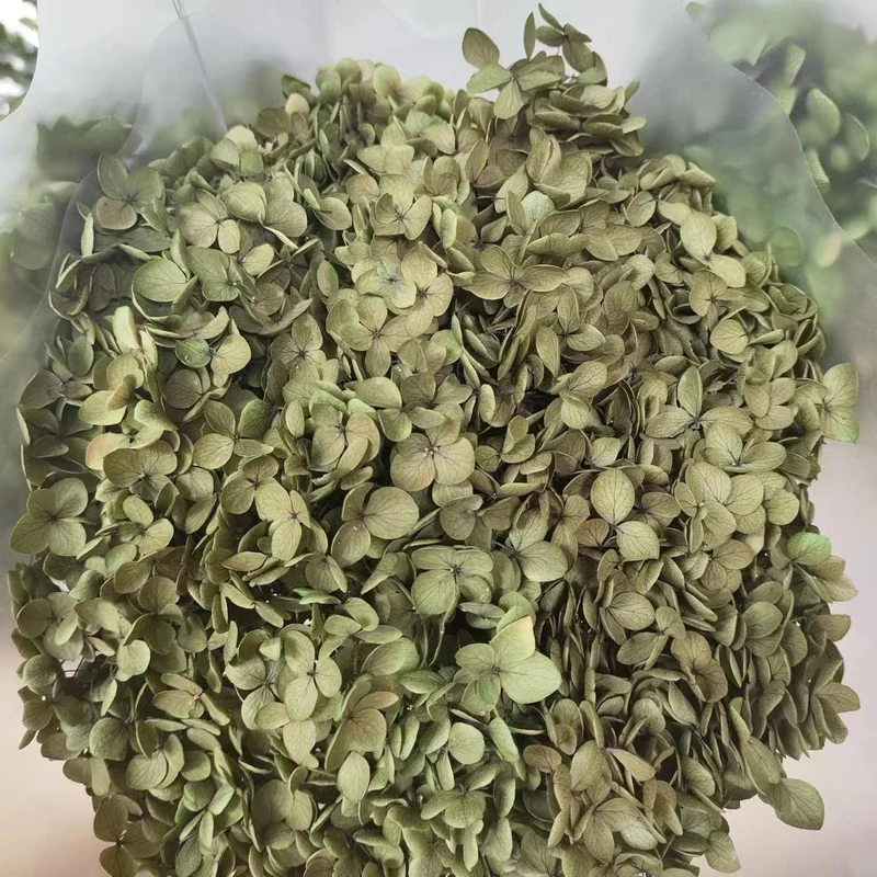 Dried Floral Petals