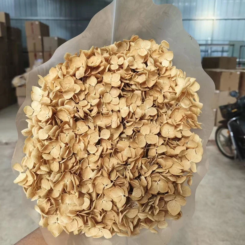Dried Floral Petals