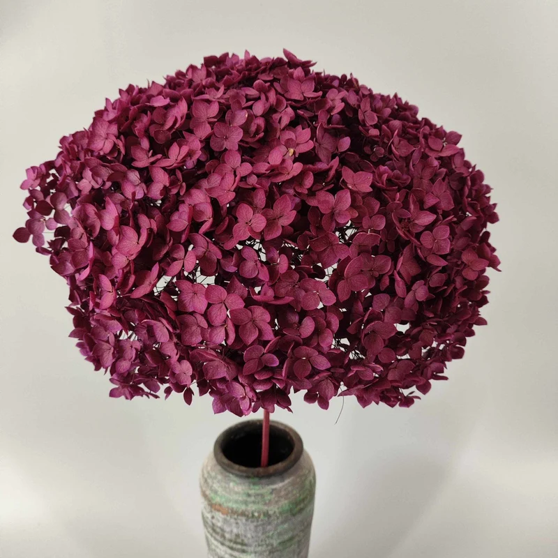 Dried Floral Petals