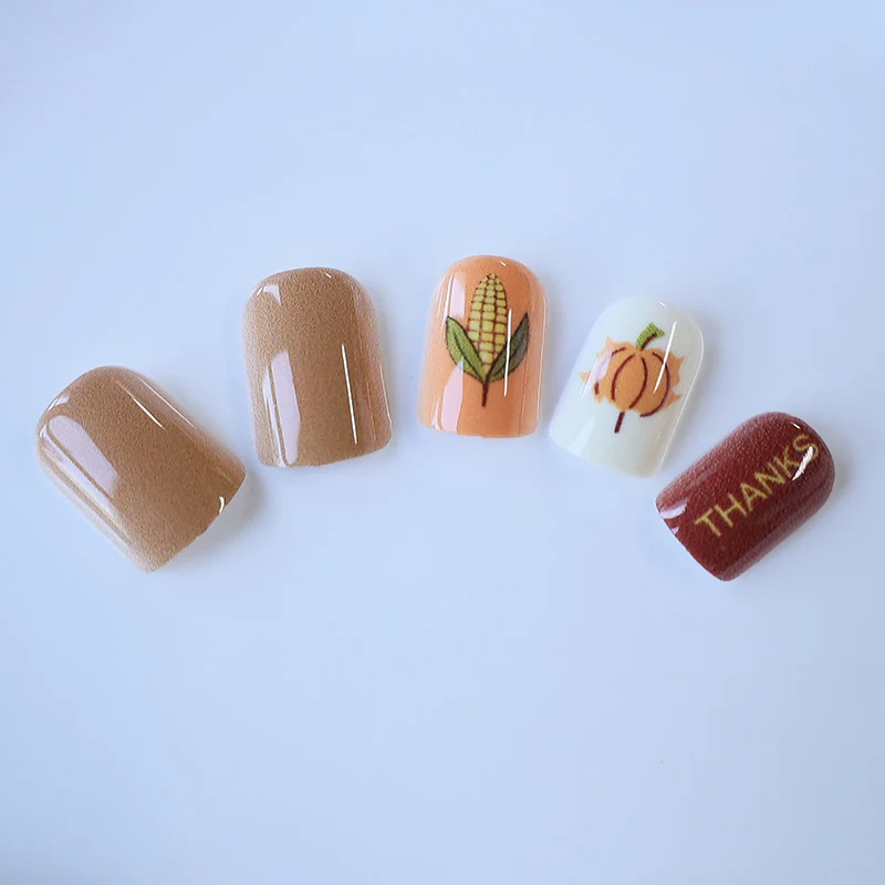 Themen Herbst Nagelkunst Set Karnz